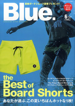 THE BEST OF BOARD SHORTS