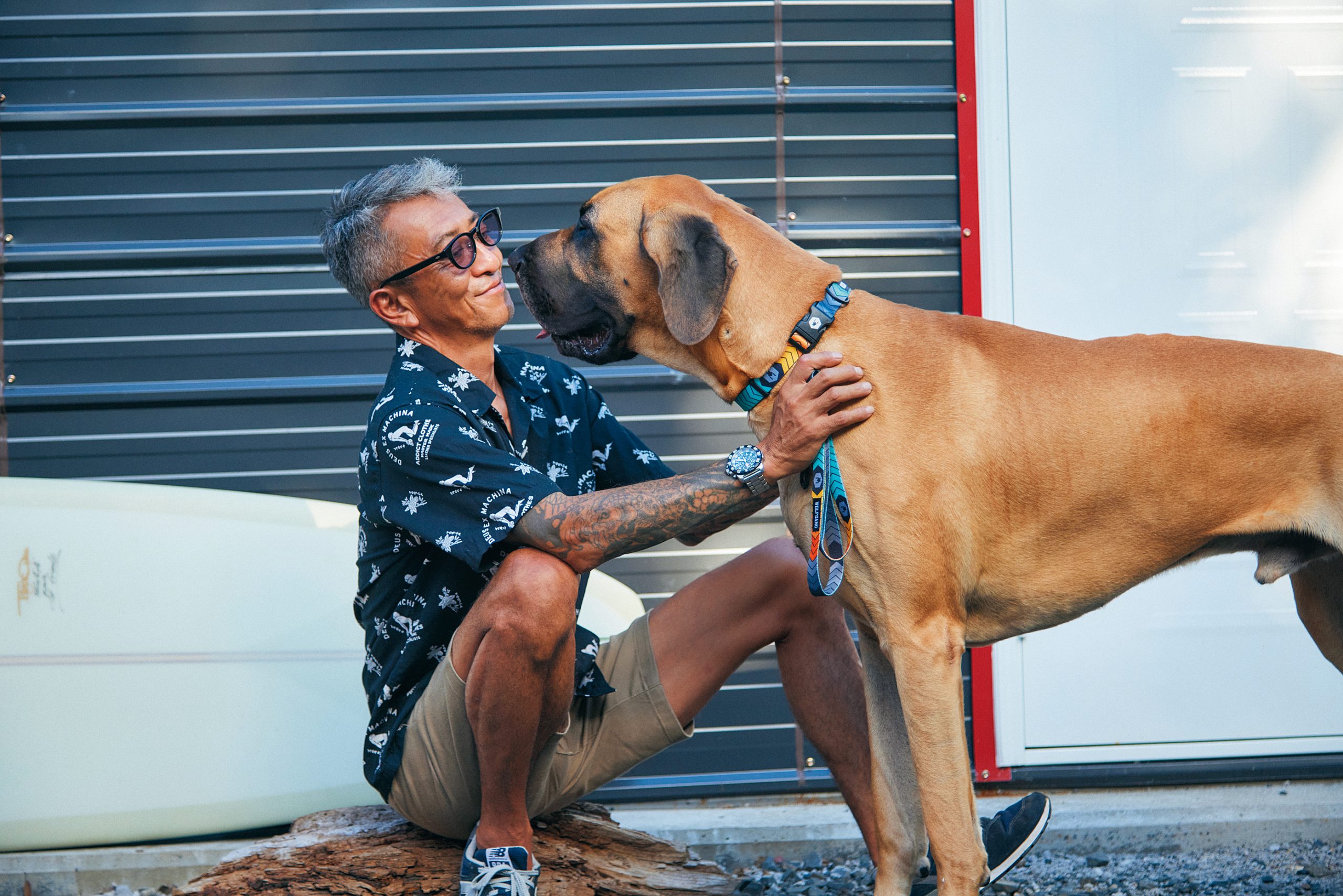 愛犬との変えがたい日常にそっと寄り添う、「ウルフギャング マン&ビースト」の最新モデル